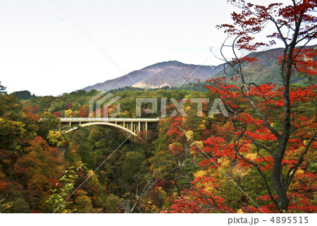 紅葉の鳴子峡 紅葉の鳴子峡 4895515