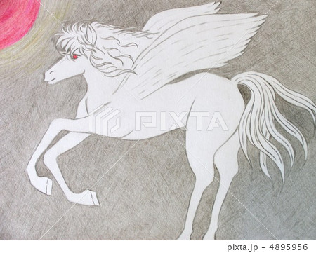 ペガサス 4895956