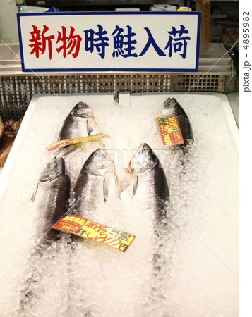 時鮭 4895982