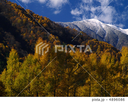 将棊頭山 冠雪 将棊頭山 冠雪 4896086
