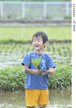 田植え 4896450