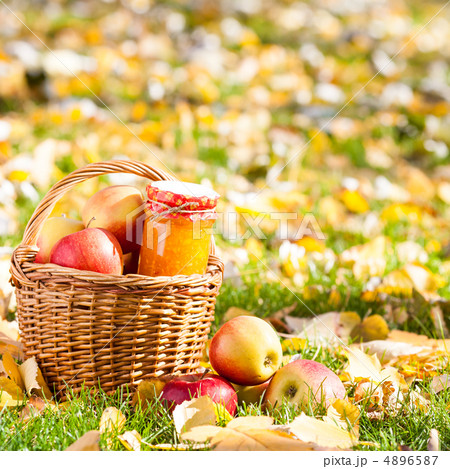 Apple jam in jar 4896587