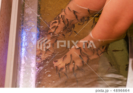 Fish spa pedicure 4896664