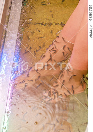 Fish spa pedicure 4896784
