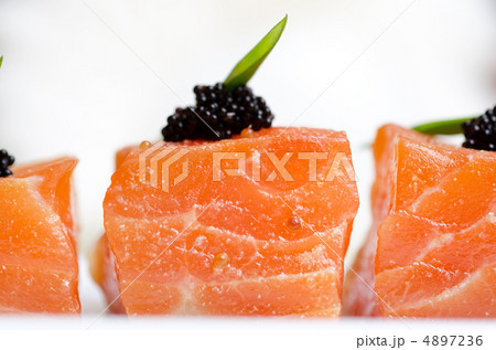 Salmon Slices Salmon Slices 4897236