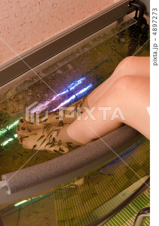 Fish spa pedicure Fish spa pedicure 4897273