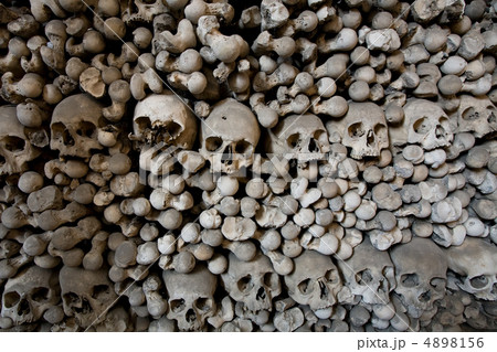 human bones and skulls 4898156
