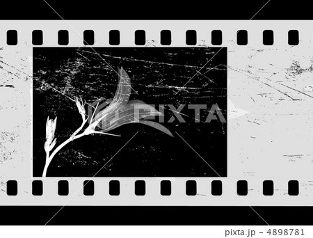 camera film 4898781
