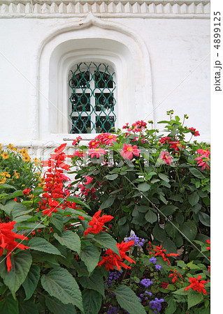 flowerses under window 4899125