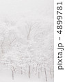雪のブナ林 4899781