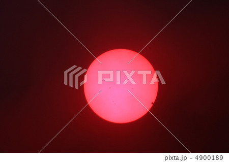 ブラックドロップ 4900189