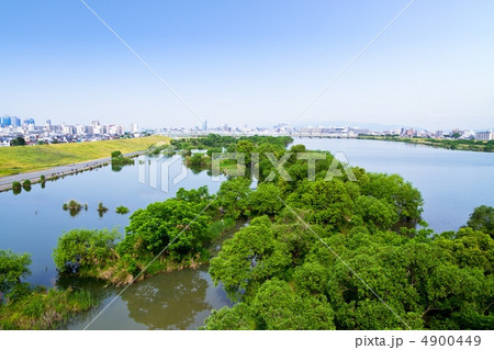 淀川ワンド 4900449