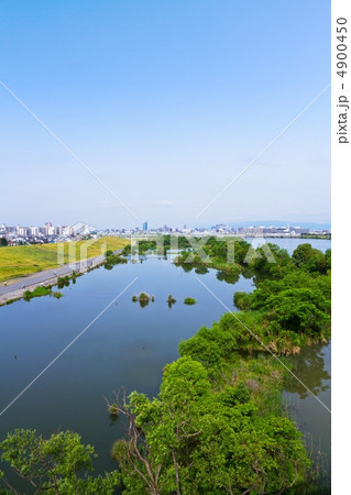 淀川ワンド 淀川ワンド 4900450