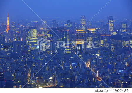 東京タワーが見える薄明夜景 4900485