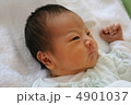 赤ちゃん 4901037