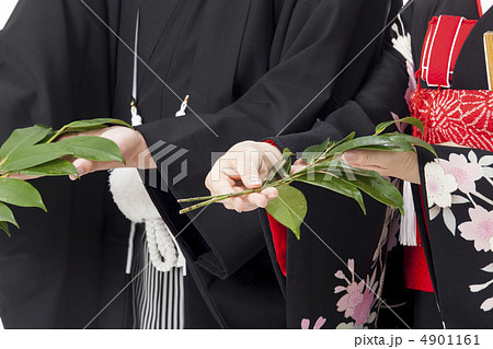 玉串奉納 4901161