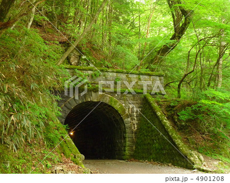 伊豆 天城隧道 4901208