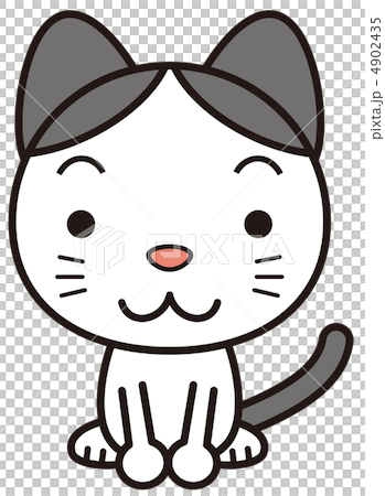 お座り猫 4902435