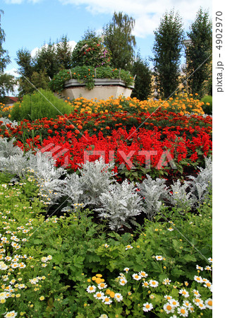 flowerses on lawn 4902970