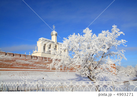 white tree on background of the old fortress 4903271