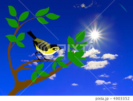 bird on tree 4903352