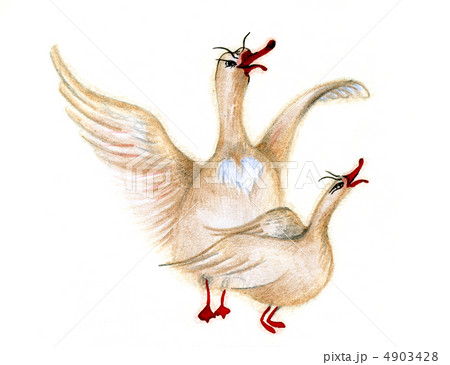 baby drawing on white background 4903428