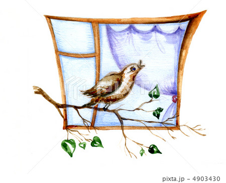baby drawing on white background 4903430