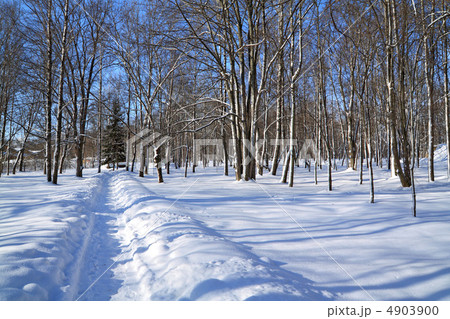 snow lane in winter park snow lane in winter park 4903900