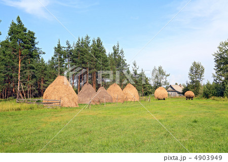 stack hay on green field stack hay on green field 4903949