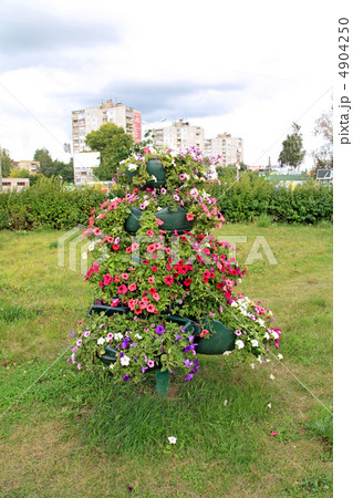 flowerses on decorative town lawn flowerses on decorative town lawn 4904250
