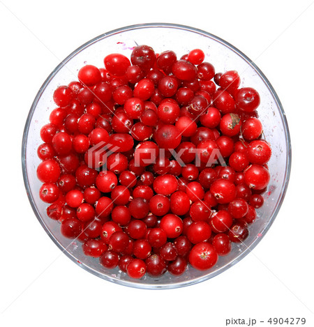 cranberry in plate on white background cranberry in plate on white background 4904279