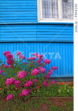 flowerses near wall of the wooden building flowerses near wall of the wooden building 4904280