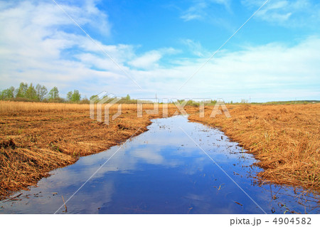 small river amongst dry herb on spring field 4904582