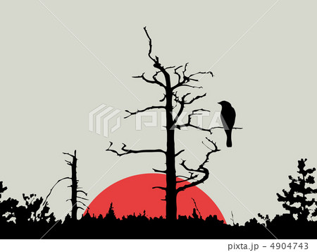 bird on branch amongst wood 4904743