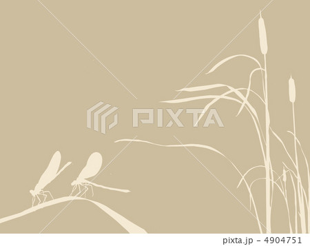 two dragonflies on brown background 4904751