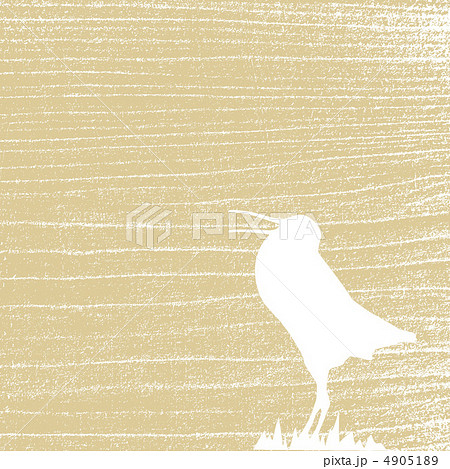 snipe amongst herbs on grunge background, vector illustration snipe amongst herbs on grunge background, vector illustration 4905189