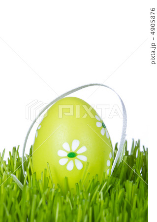 easter egg in grass 4905876