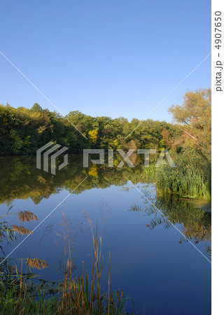 autumn river 4907650