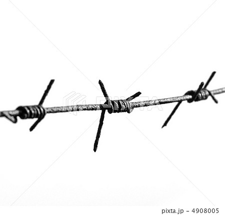 barbed wire isolated 4908005