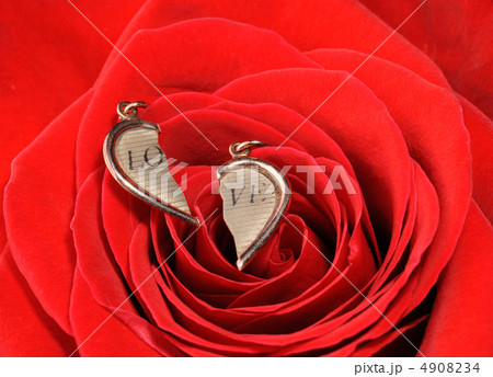 broken gold heart in a red rose broken gold heart in a red rose 4908234
