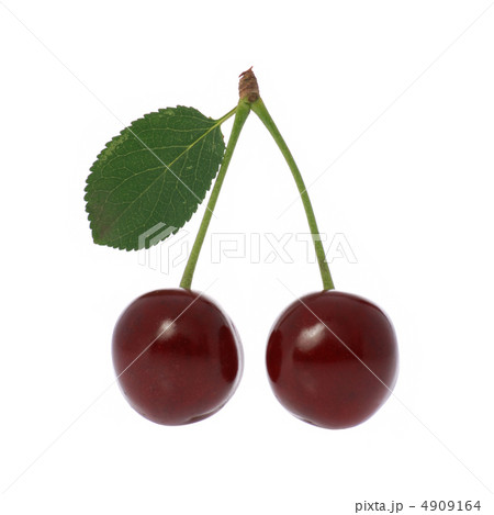 Cherry Cherry 4909164