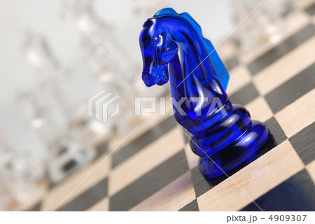 Chess horse 4909307