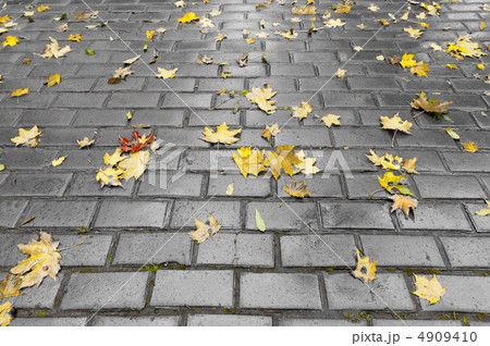 Paved sidewalk with autumn foliage 4909410