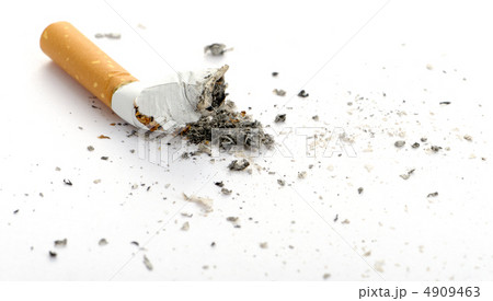 cigarette butt cigarette butt 4909463
