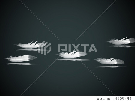 Feathers of birds Feathers of birds 4909594