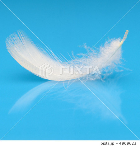 Feather 4909623