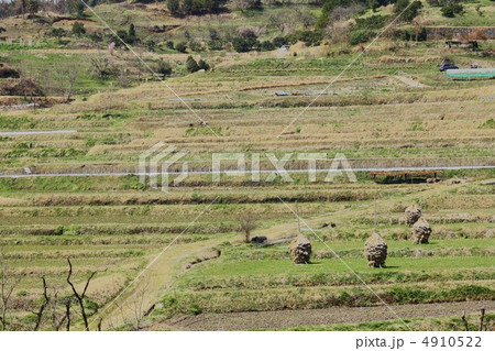 明日香稲渕の棚田 明日香稲渕の棚田 4910522