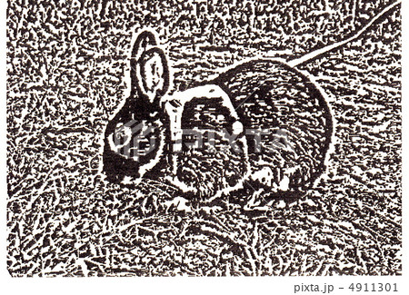 ウサギ ウサギ 4911301