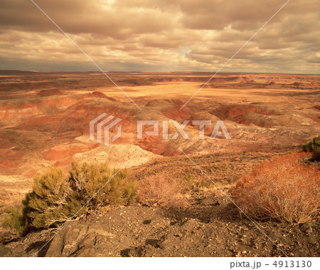 偉観絶景 4913130