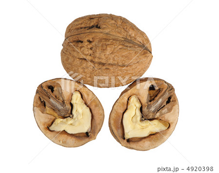 Split walnut 4920398